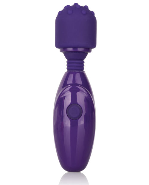 Tiny Teasers Nubby Purple Vibrator with Flexible Removable Tip
