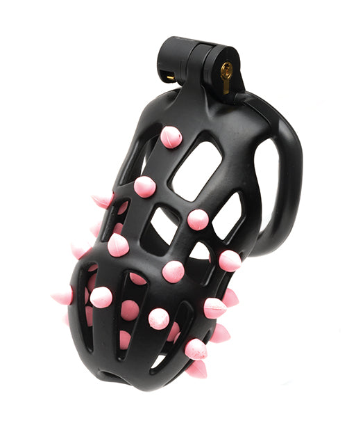 Chastity Cage