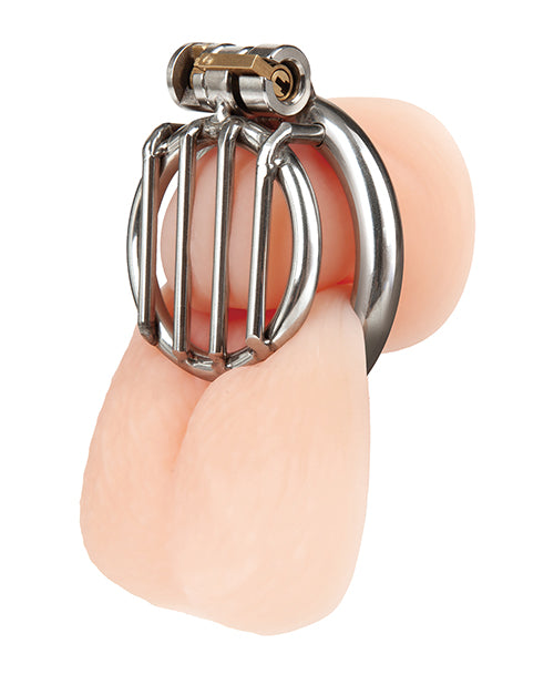 Stainless Steel Inverted Micro Jail Time Chastity Cage with Secure Fit