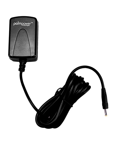 Palm Power Replacement Power Cord with Multi-Region Adapters for Reliable Massager Charging