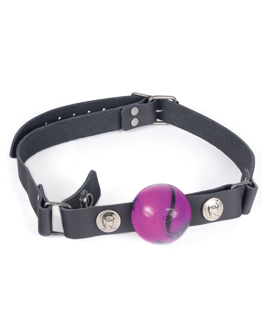 Spartacus Bondage Restraint Silicone Ball Gag with Nickel-Free Hardware and Washable Strap for Safe and Comfortable Restriction