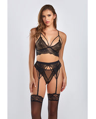 iCollection Lingerie Plus Size Lingerie Set Dot Mesh Galloon Lace Strappy Bra for Curves and Comfort