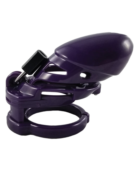 Locked In Lust male chastity cage adjustable polycarbonate spacious tube for secure and comfortable chastity play