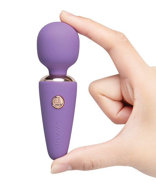 Le Wand Mini Micro Wand Vibrator in Violet