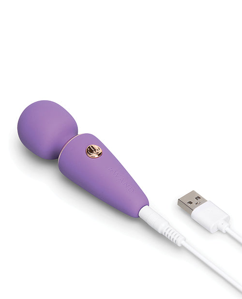 Le Wand Mini Micro Wand Vibrator in Violet