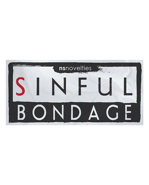 Renegade Promo Sinful Sign durable retail display with bold graphics for adult store product promotion