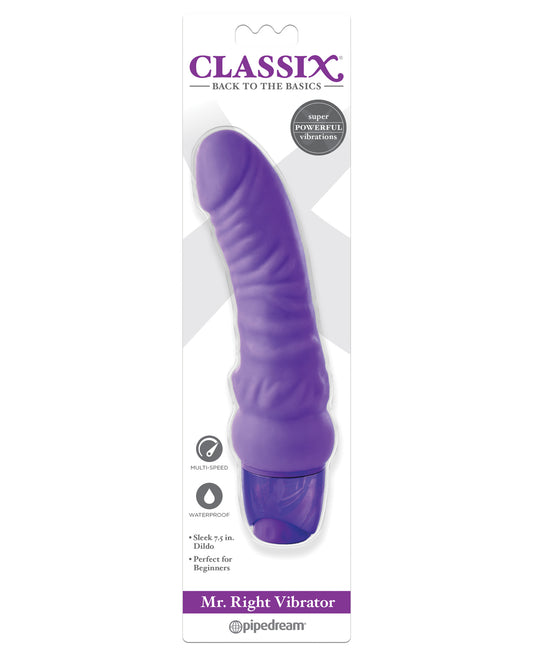Classix Vibrator Flexible Curved Shaft Waterproof Multi-Speed for Targeted G-Spot Stimulation