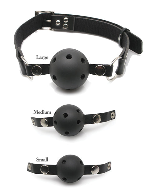 Ball Gag Training Kit with Adjustable Vinyl Strap and Three Gag Sizes
