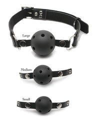 Ball Gag Training Kit with Adjustable Vinyl Strap and Three Gag Sizes