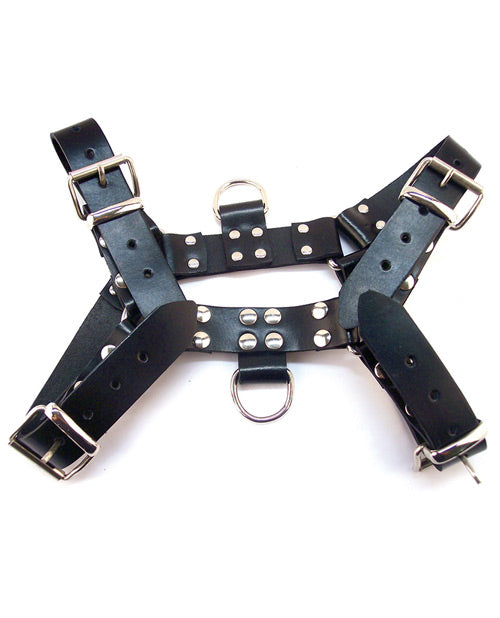 Rouge Bondage Harness Leather Adjustable Buckle Straps with D-Rings for Secure Restraint and Versatile Attachment