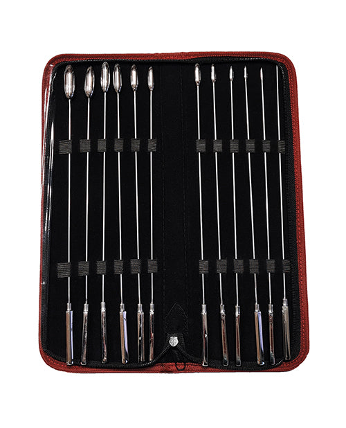 Rouge Stainless Steel Rosebud Dilator Set medical-grade 12 piece kit with graduated sizes for advanced sensory play