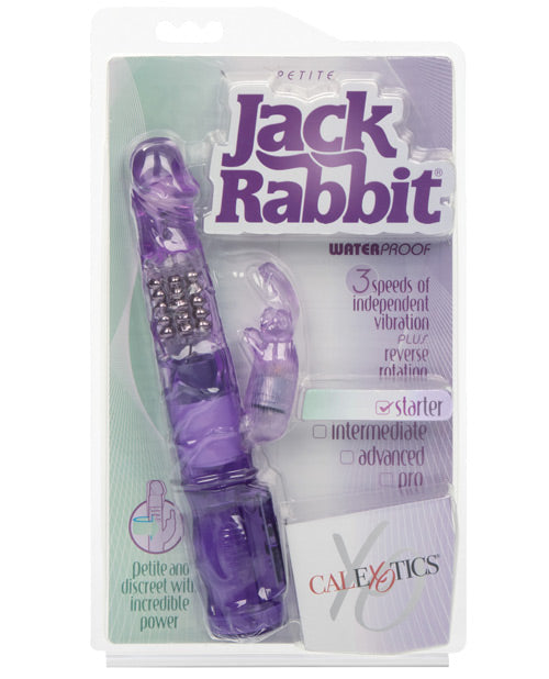 Jack Rabbit Vibrator Petite Purple Rotating Beads Bunny Clitoral Teaser for Targeted Stimulation
