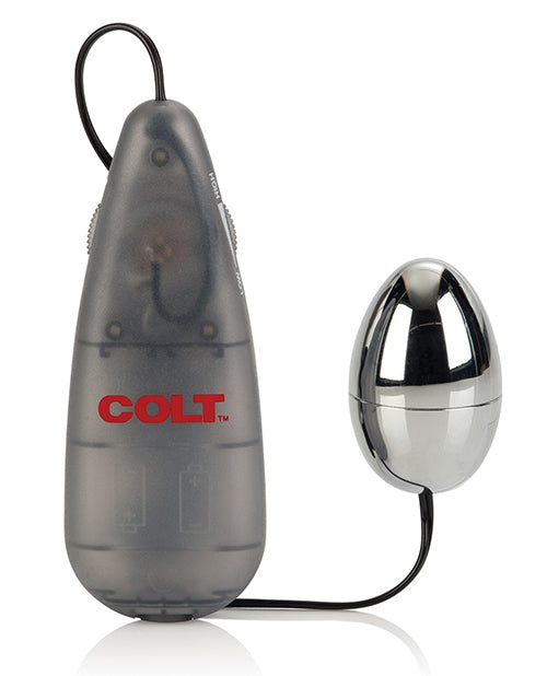 Silver Multi-Speed Vibrating Egg with EZ Grip Power Pack