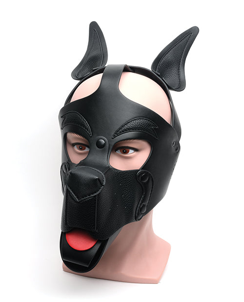 Blindfolds, Masks & Gags