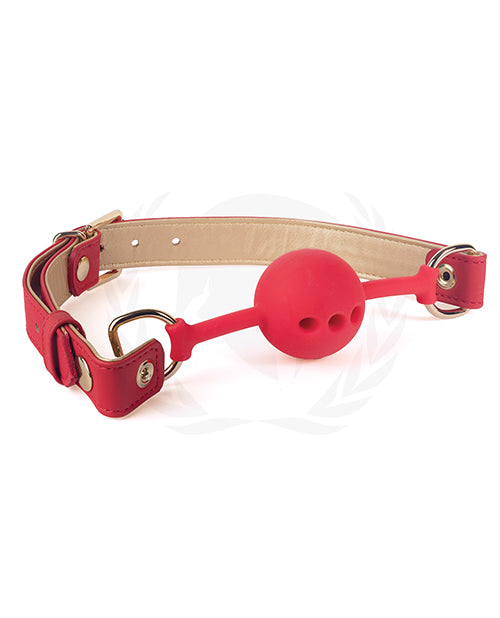 Spartacus Bondage Ball Gag with Red PU Straps and Gold Hardware for Secure Restraint Play