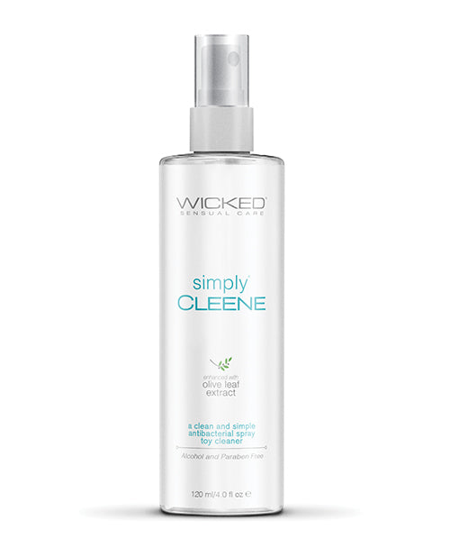 Wicked Sensual Care Antibacterial Toy Cleaner with Lavender Extracts Spray for Hygienic Intimate Care