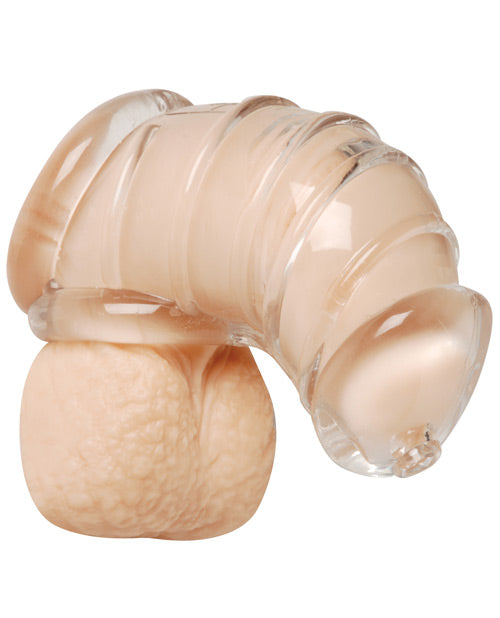 Soft Rubber Chastity Cage with Separate Chambers and Low-Profile Design